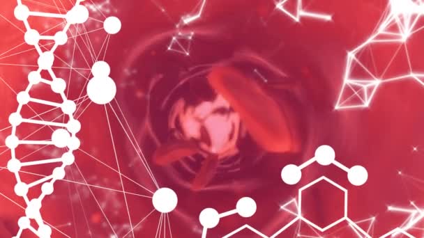 Анімація Dna Молекул Над Червоними Клітинами Червоному Тлі Наука Біологія — стокове відео