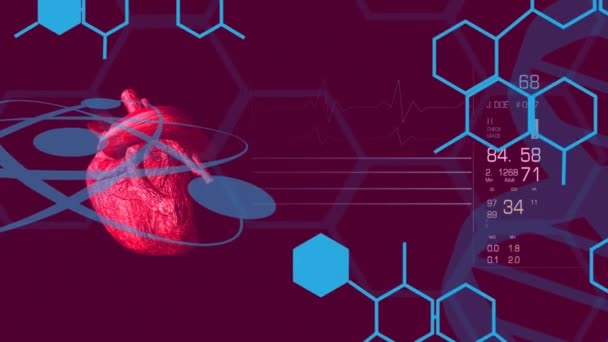 Animation Chemical Formulas Hear Model Heart Rate Violet Background Science — Vídeos de Stock