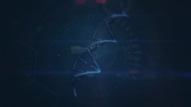 DNA iplikçiklerinin dönmesi ve karanlık arka planda parlayan ışıkların üzerinde veri işlemesi. Küresel bilim, veri işleme ve dijital arayüz kavramı dijital olarak oluşturulmuş video.