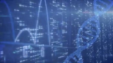 Mavi zemin üzerinde hareket eden sütunların üzerinde veri işleme ile DNA iplikçiklerinin animasyonu. Küresel teknoloji, bilgisayar ve dijital arayüz kavramı dijital olarak oluşturulmuş video.