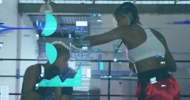Spor salonunda boks yapan farklı insanların veri işleme animasyonları. Küresel spor, bilgisayar ve dijital arayüz kavramı dijital olarak oluşturulmuş video.