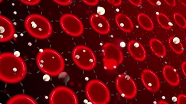 Kırmızı zemin üzerindeki pembe noktaların animasyonu. İnsan biyolojisi, anatomi ve vücut konsepti dijital olarak oluşturulmuş video.