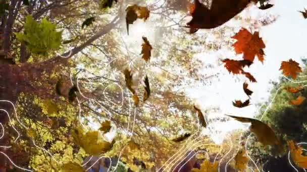 Анімація Ішемій Осіннього Листя Над Щасливою Кавказькою Сім Парку Сім — стокове відео