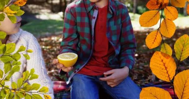 Animation Autumn Leaves Caucasian Boy Girl Lemon Park Fall Seasons — Stock Video