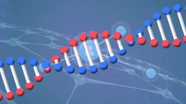 Mavi arkaplandaki simgelerle olan bağlantı ağının üzerindeki DNA iplikçiklerinin animasyonu. Dijital olarak oluşturulmuş küresel bağlantılar, bilgisayar ve dijital arayüz kavramı.