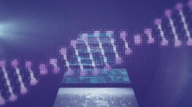 Donanma dijital alanı üzerinde DNA animasyonu ve çeşitli verileri olan ekranlar. Dijital arayüz, veri işleme ve teknoloji konsepti dijital olarak oluşturulmuş video.