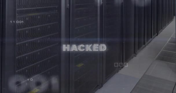 Animation Hacked Text Data Processing Server Room Global Business Digital — Vídeo de Stock