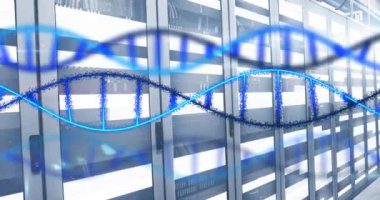 Sunucu odasında tıbbi veri işleme animasyonu. Küresel tıp, teknoloji, veri işleme ve dijital arayüz kavramı dijital olarak oluşturulmuş video.