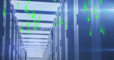 Sunucularda yeşil ışık animasyonu. Ağ, bilgisayarlar, bağlantılar ve teknoloji konsepti dijital olarak oluşturulmuş video.