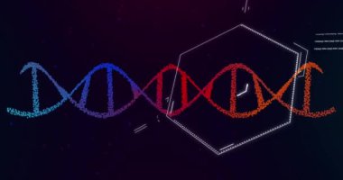 Animation of dna strand spinning over chemical structures. Global science, research and chemistry concept digitally generated video.
