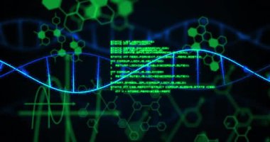 Karanlık arka planda tıbbi veri işleme animasyonu. Küresel tıp, teknoloji, veri işleme ve dijital arayüz kavramı dijital olarak oluşturulmuş video.