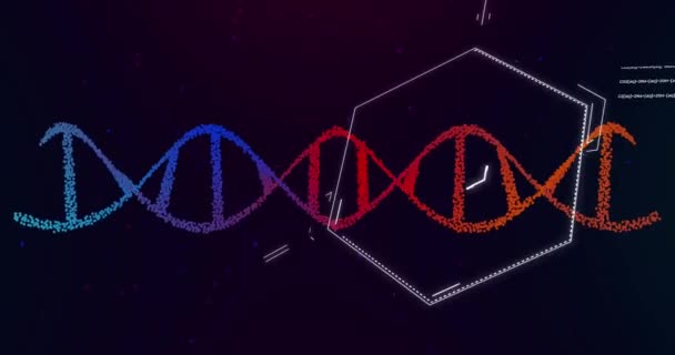 Animation Dna Strand Spinning Chemical Structures Global Science Research Chemistry — Stockvideo