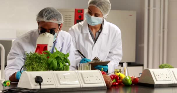 Animatie Van Chemische Formules Diverse Vrouwelijke Mannelijke Laboratoriummedewerkers Met Gezichtsmaskers — Stockvideo