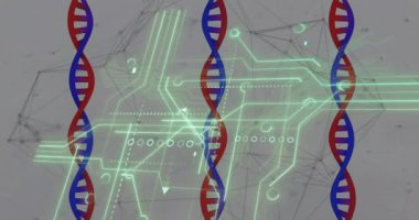 Beyaz zemin üzerinde tıbbi veri işleme ve işlemci soketi animasyonu. Küresel tıp, teknoloji, veri işleme ve dijital arayüz kavramı dijital olarak oluşturulmuş video.