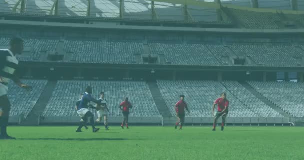 Animation Data Processing Diverse Rugby Players Stadium Global Sport Computing — Stockvideo