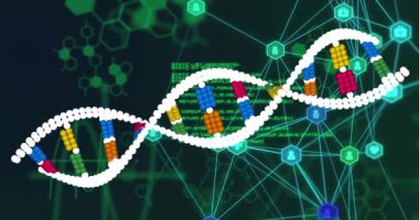 Karanlık arka planda tıbbi veri işleme animasyonu. Küresel tıp, teknoloji, veri işleme ve dijital arayüz kavramı dijital olarak oluşturulmuş video.