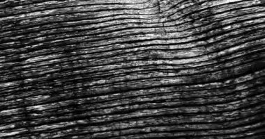 Siyah arkaplanda hareket eden şekillerin animasyonu. Soyut arkaplan ve hareket dokularını dijital olarak oluşturulmuş video konsepti.