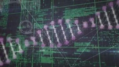 Siyah arka planda veri işleme ve DNA animasyonu. Veri işleme ve dijital arayüz kavramı dijital olarak oluşturulmuş video.