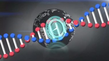 Gri arka planda dünya, saat ve DNA animasyonu. Küresel ağ, bilim ve teknoloji konsepti dijital olarak oluşturulmuş video.