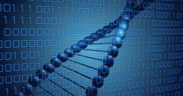 Animation Dna Rotating Binary Code Blue Background Science Biology Data — Stockvideo