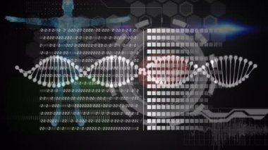 Siyah arka planda DNA ipliği olan veri işleme animasyonu. Küresel teknoloji, bilgisayar ve dijital arayüz kavramı dijital olarak oluşturulmuş video.