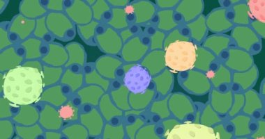 Siyah arkaplanda yeşil hücreler üzerinde renkli virüslerin canlandırılması. İnsan biyolojisi, anatomi ve vücut konsepti dijital olarak oluşturulmuş video.