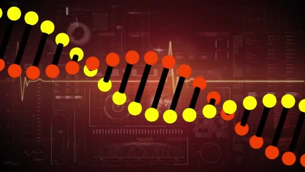 Animation Red Digital Screen Diverse Data Processing Heart Rate Dna — Video
