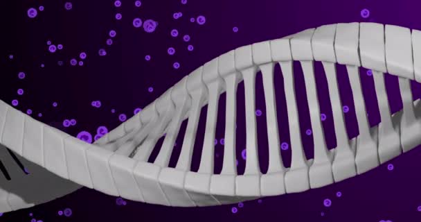 Animation Dna Purple Cells Violet Background Human Biology Anatomy Body — Vídeo de Stock