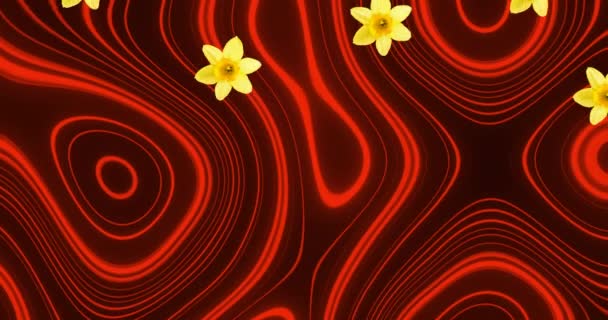 Animation Flowers Red Black Wavy Background Colour Shape Movement Nature — Vídeo de Stock