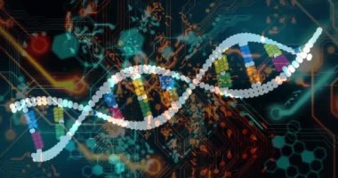 Karanlık arka planda tıbbi veri işleme animasyonu. Küresel tıp, teknoloji, veri işleme ve dijital arayüz kavramı dijital olarak oluşturulmuş video.