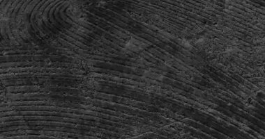 Siyah arkaplanda hareket eden şekillerin animasyonu. Soyut arkaplan ve hareket dokularını dijital olarak oluşturulmuş video konsepti.