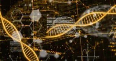 Karanlık arka planda tıbbi veri işleme animasyonu. Küresel tıp, teknoloji, veri işleme ve dijital arayüz kavramı dijital olarak oluşturulmuş video.