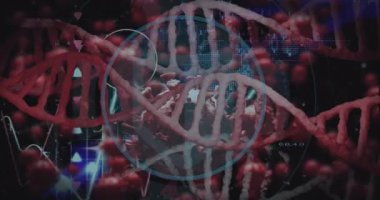 Karanlık arka planda tıbbi veri işleme animasyonu. Küresel tıp, teknoloji, veri işleme ve dijital arayüz kavramı dijital olarak oluşturulmuş video.