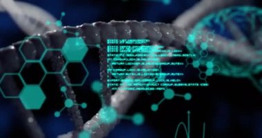 Bilimsel veriler üzerinde dönen DNA animasyonu siyah arka planda. Bilim, biyoloji, veri işleme ve teknoloji konsepti dijital olarak oluşturulmuş video.