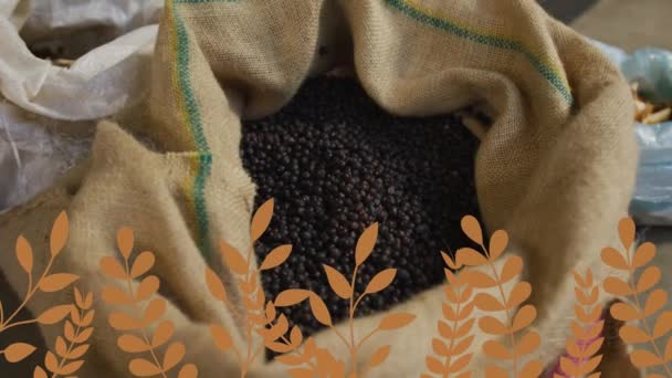 Animation Plants Hands Caucasian Man Coffee Bag Coffee Beverage Agriculture — Wideo stockowe