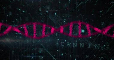 Karanlık arka planda tıbbi veri işleme animasyonu. Küresel tıp, teknoloji, veri işleme ve dijital arayüz kavramı dijital olarak oluşturulmuş video.