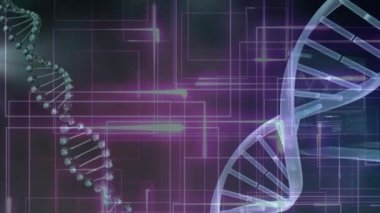 DNA iplikçiklerinin üzerinde veri işleme animasyonu. Küresel bilim ve dijital arayüz kavramı dijital olarak oluşturulmuş video.