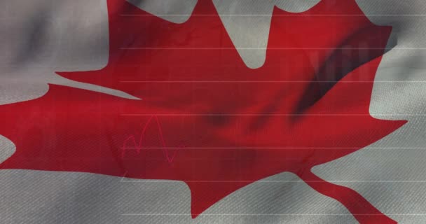 Animation Statistical Data Processing Canada Flag Background Global Finance Business — Stockvideo