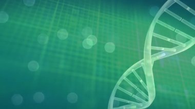 Animation of spots moving over dna strand. Global science and digital interface concept digitally generated video.