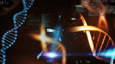 DNA iplikçiklerinin üzerinde veri işleme animasyonu. Küresel tıp ve dijital arayüz kavramı dijital olarak oluşturulmuş video.