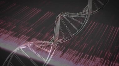 DNA ipliği üzerinde veri işleme animasyonu. küresel bilim ve dijital arayüz kavramı dijital olarak oluşturulmuş video.