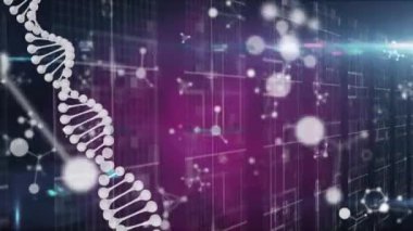 DNA ipliği ve bilgisayar devre kartı üzerindeki moleküllerin animasyonu. Dijital olarak oluşturulmuş küresel bağlantılar, bilgisayar ve dijital arayüz kavramı.
