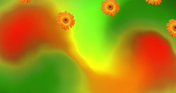 Animation Falling Gerbers Green Red Background Colour Movement Nature Concept — Stockvideo