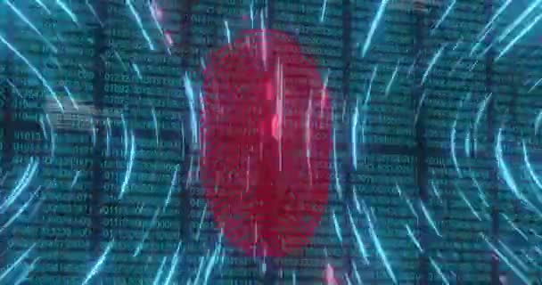 Animation Biometric Fingerprint Scanner Spinning Light Trails Binary Coding Cyber — Αρχείο Βίντεο