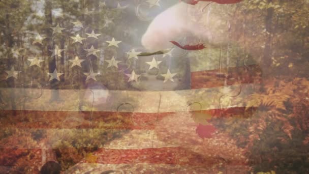 Composite Waving American Flag Maple Leaves Falling Park American Independence — Stock Video