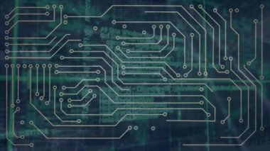 Animation of data processing over network of connections. Global business and digital interface concept digitally generated video.