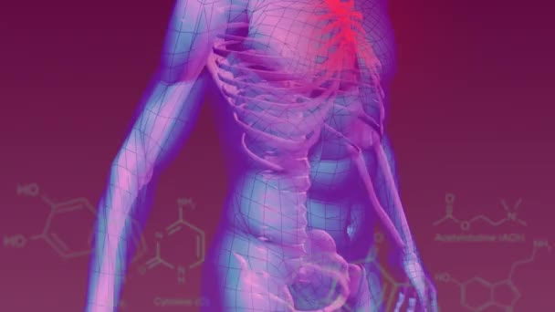 Animation Chemical Structures Data Processing Human Body Model Purple Background — 图库视频影像