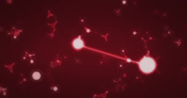 Animation Snowflakes Molecules Black Background Winter Light Movement Concept Digitally — ストック動画