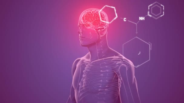 Animation Chemical Structures Spinning Human Body Model Brain Purple Background — Vídeo de Stock