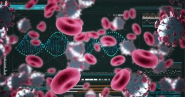 Animation of covid-19 cells floating over digital interface with medical data processing. Computer interface and covid-19 pandemic concept